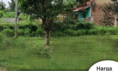 Area Alun-Alun Ciparay Kaplingan 100 Jutaan