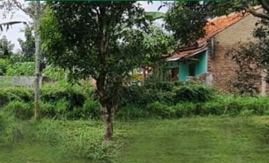 Area Alun-Alun Ciparay Kaplingan 100 Jutaan