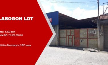 Commercial Lot for Sale in Mandaue City