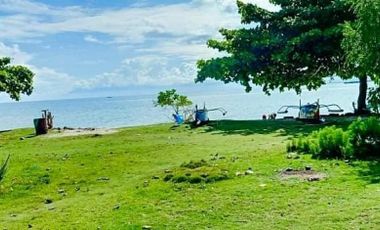 10.3 hectares White Sand Beachlot at Samal Island Davao
