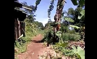 Jual Tanah Perumahan 18 Ha Di Cihampelas Kota Bandung Barat