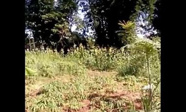 Jual Tanah Perumahan 18 Ha Di Cihampelas Kota Bandung Barat
