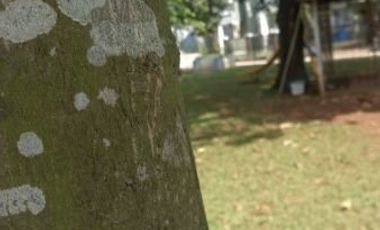 Rumah idaman keluarga Muslim Indonesia Cibubur dekat Metland Cileungsi Bogor