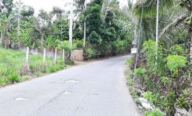 120 Sqm Affordable Subdivision Lot for near Tagaytay City- Installment in 2 to 5 Yrs to Pay