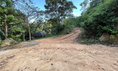 Land for sale in Maenam, Surat Thani
