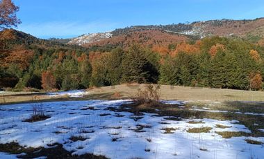 Campo de 142 ha con loteo aprobado 129 parcelas