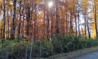 Campo de 142 ha con loteo aprobado 129 parcelas