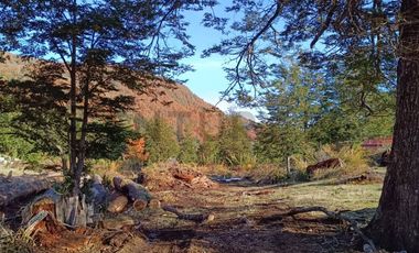Campo de 142 ha con loteo aprobado 129 parcelas