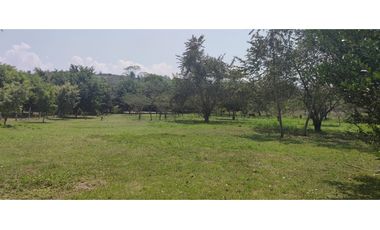 Terreno Tarapoto - 3 de Octubre - 10,000 m2 - US$45 x m2