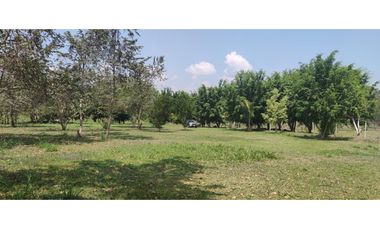 Terreno Tarapoto - 3 de Octubre - 10,000 m2 - US$45 x m2