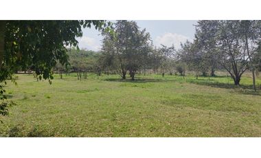 Terreno Tarapoto - 3 de Octubre - 10,000 m2 - US$45 x m2