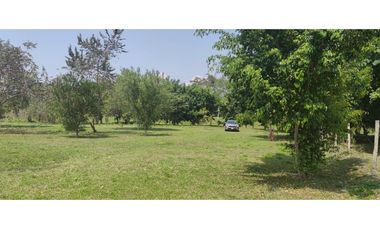 Terreno Tarapoto - 3 de Octubre - 10,000 m2 - US$45 x m2