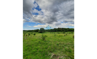 VENTA-3 HECTREAS-LAS VERTIENTES DE LA GRANJA