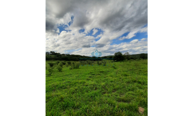 VENTA-3 HECTREAS-LAS VERTIENTES DE LA GRANJA