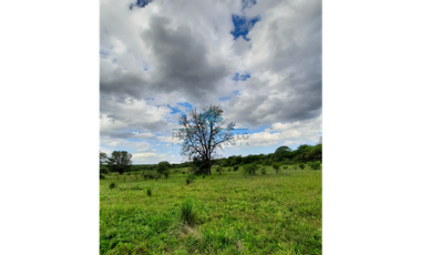 VENTA-3 HECTREAS-LAS VERTIENTES DE LA GRANJA