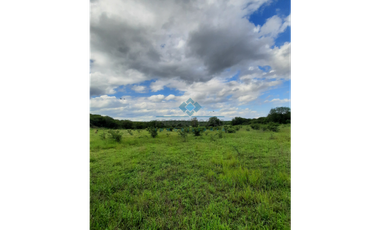 VENTA-3 HECTREAS-LAS VERTIENTES DE LA GRANJA