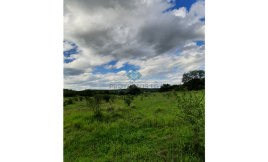 VENTA-3 HECTREAS-LAS VERTIENTES DE LA GRANJA