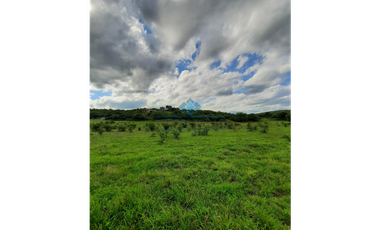 VENTA-3 HECTREAS-LAS VERTIENTES DE LA GRANJA