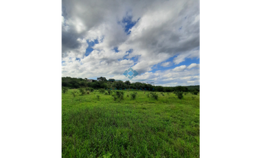 VENTA-3 HECTREAS-LAS VERTIENTES DE LA GRANJA