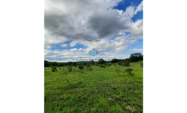 VENTA-3 HECTREAS-LAS VERTIENTES DE LA GRANJA