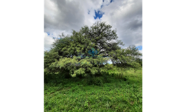 VENTA-3 HECTREAS-LAS VERTIENTES DE LA GRANJA