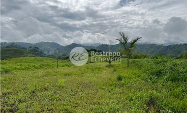 Vendo lote en conjunto, La Trinidad, Manizales