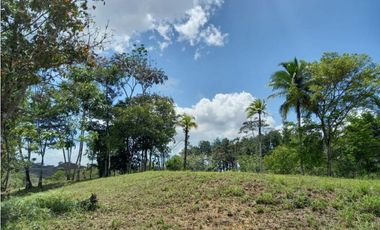 Finca en Chirigui Abajo, excelente finca