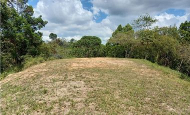 Finca en Chirigui Abajo, excelente finca