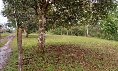 Finca en Chirigui Abajo, excelente finca