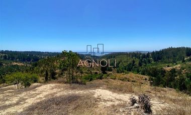 Sitio en Venta en Valle negro, Navidad