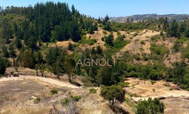 Sitio en Venta en Valle negro, Navidad