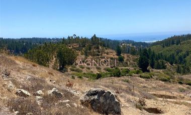 Sitio en Venta en Valle negro, Navidad