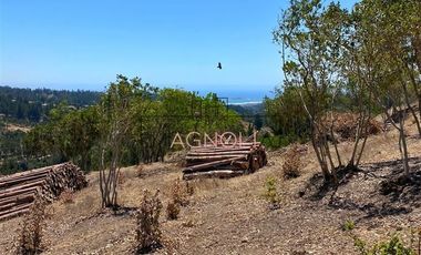 Sitio en Venta en Valle negro, Navidad