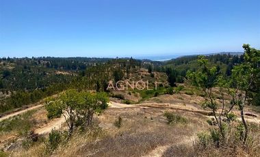 Sitio en Venta en Valle negro, Navidad