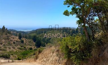 Sitio en Venta en Valle negro, Navidad