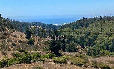 Sitio en Venta en Valle negro, Navidad