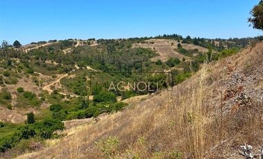 Sitio en Venta en Valle negro, Navidad