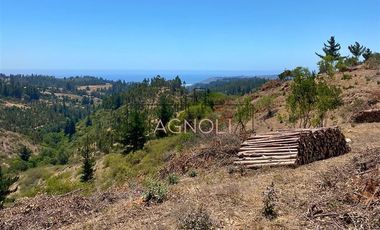 Sitio en Venta en Valle negro, Navidad