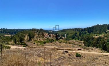 Sitio en Venta en Valle negro, Navidad