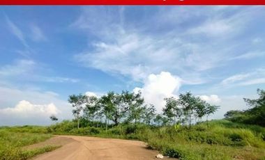 Tanah Dijual Dekat Kampus 2 lAIN Kajen: SHM