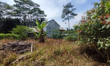 PROMO PROMO !! RUMAH 2 LANTAI PALING MURAH DI MAGELANG 100M DARI JL UTAMA