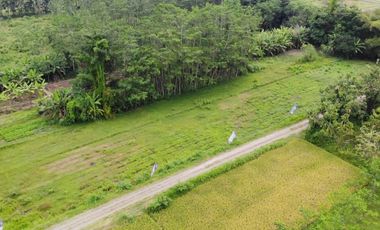 BIG SALE DISKON SAMPAI 100JT RUMAH MURAH DI GODEAN SLEMAN