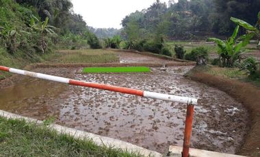 Tanah kebun dan sawah murah 700mtr Cikalong wetan