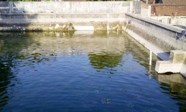 Jual Rumah Plus Usaha Burung Walet dan Budidaya Ikan