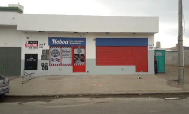 Local - Pueyrredon