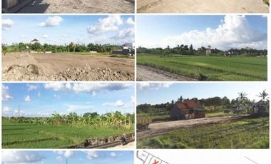 Tanah exclusive murah meriah di Kediri Tabanan view sawah