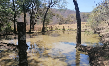 Terreno en Venta en Mazamitla