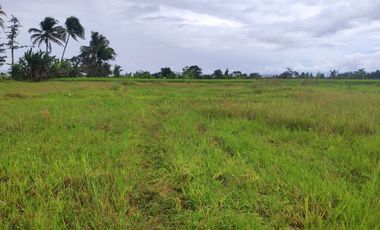 800 Ribu-an Tanah Kavling di Bogor! View Gunung Salak dan Sawah