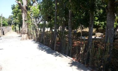 Residential/Agricultural Lot in Bauang, La Union – 2,752 sqm (SOLD)