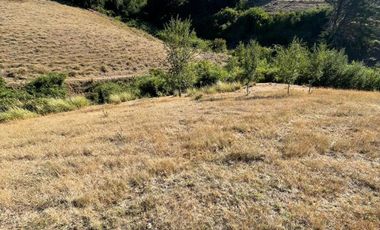 Terreno en venta cercano a Carahue.